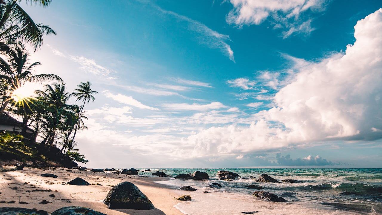 El metaverso de Los Cabos que te animará a visitar sus bellas playas