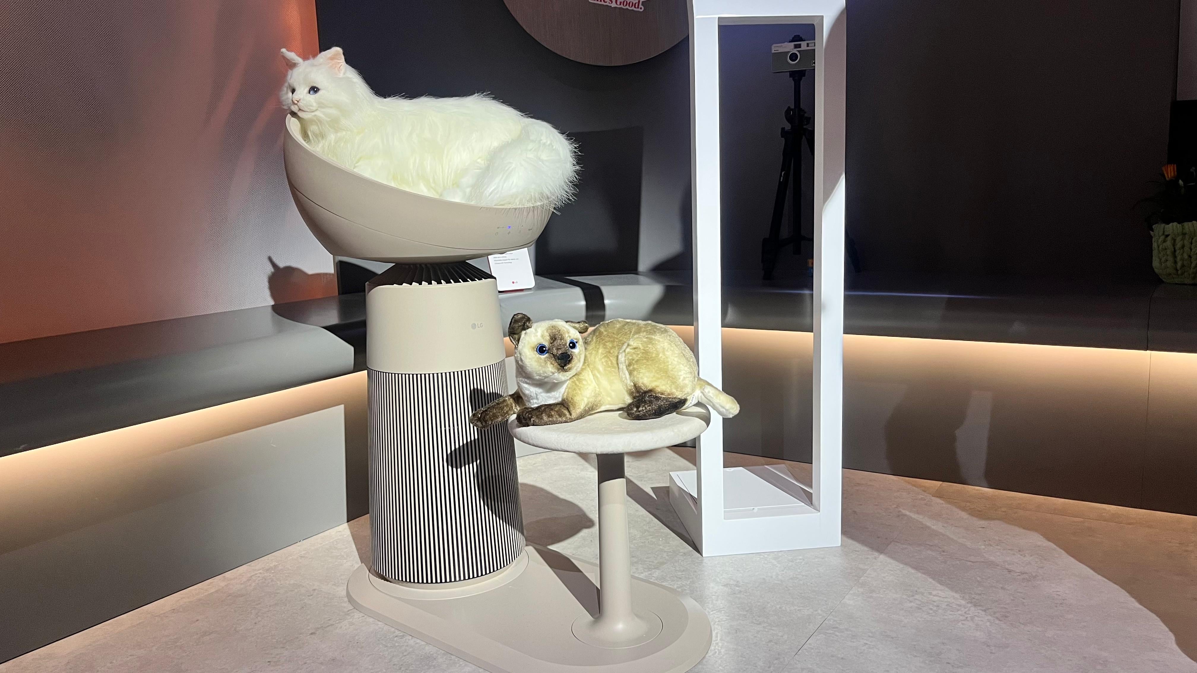 Purificadores agua gatos