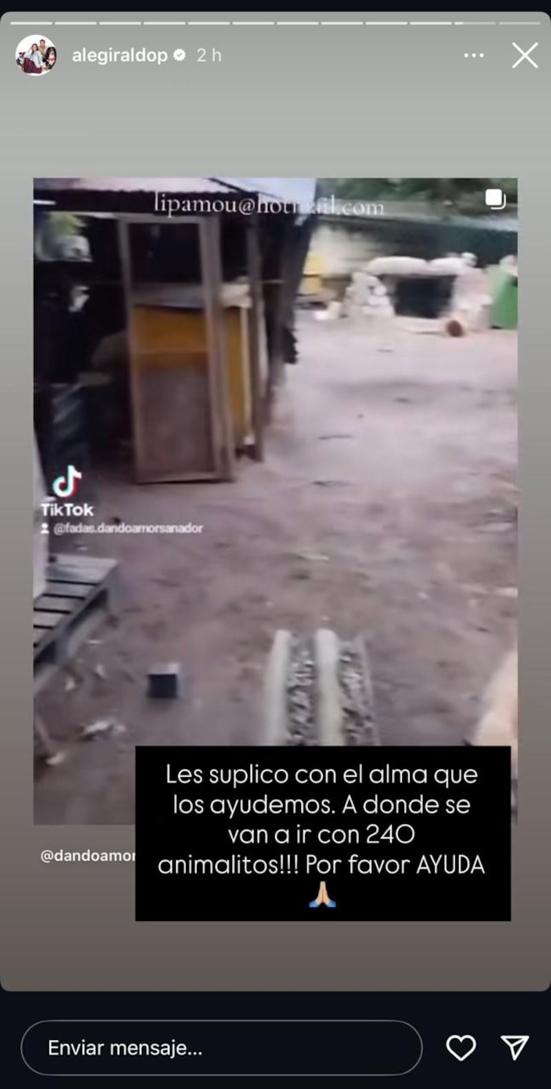 Alejandra Giraldo de Noticias Caracol pidió ayuda para Fundación Animalista