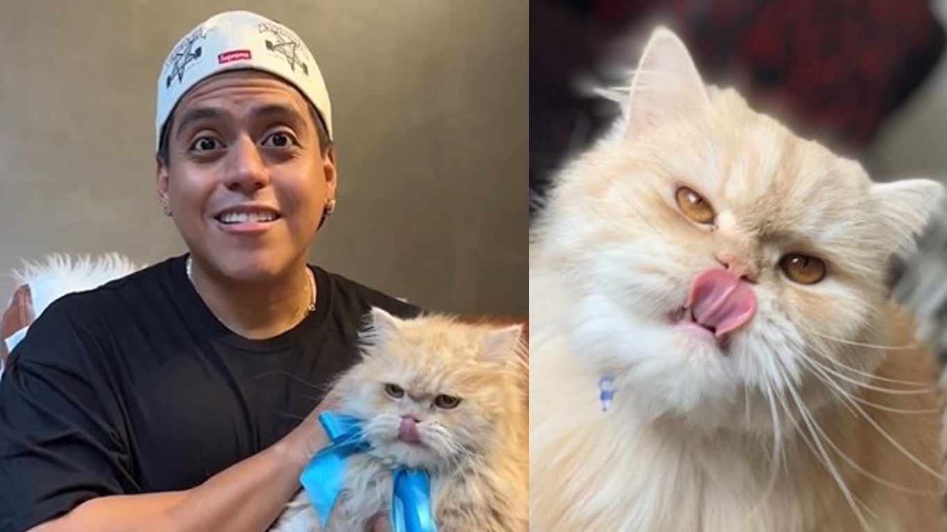 Tal parece que ‘El Mindo’ es más que celoso con el espacio de su gato Pepe, por lo que no duda en botar de su casa a quien sea.