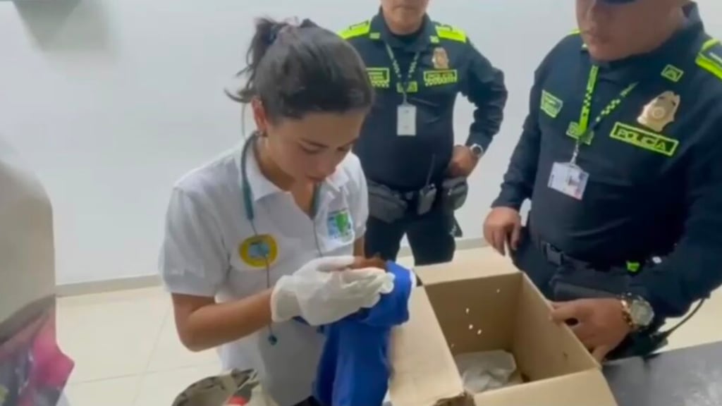 El hombre capturado llevaba a las ardillas drogadas entre sus partes íntimas.
