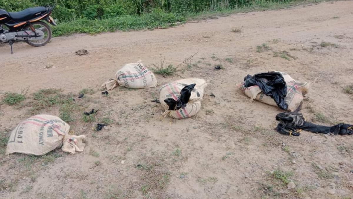 Masacre en La Guajira