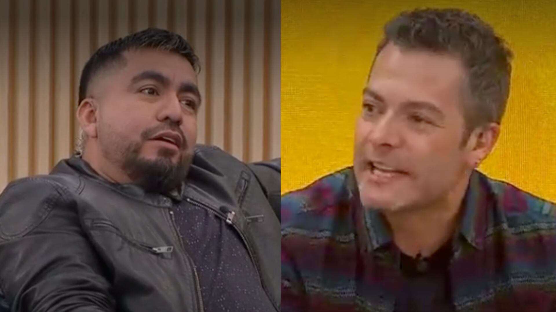 programa de televisión