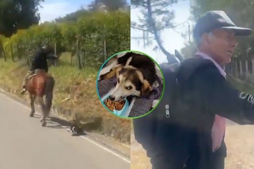 Perrito que fue arrastrado por un adulto mayor ya está a salvo y un video lo confirma