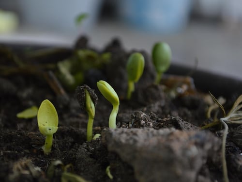 Inspirando a las empresas para que lideren la sostenibilidad en Colombia