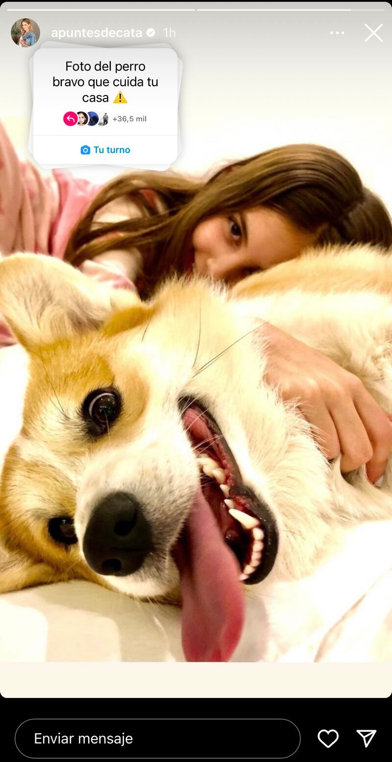 Catalina Gómez mostró al perro bravo que cuida su casa