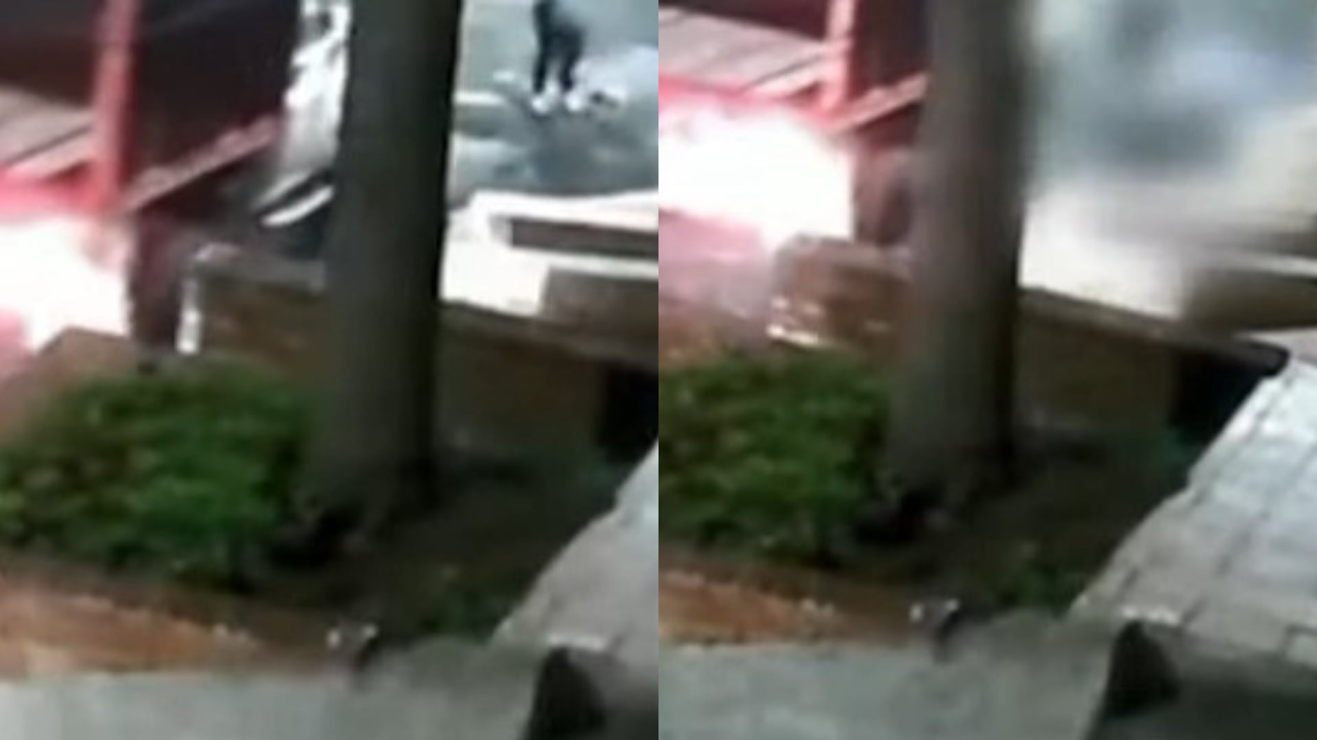 Murió mujer atropellada con su mascota