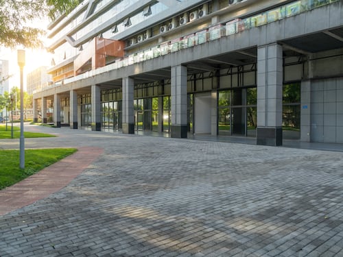 Brutal agresión de una madre y un hijo a un profesor: Le arrancaron un trozo de oreja de un mordisco