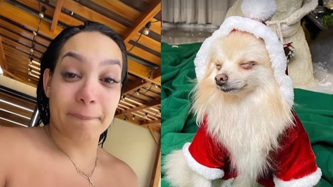 Con mucho dolor y algunas imágenes, de la bella mascota, la bailarina Andrea Valdiri confesó cómo se siente.