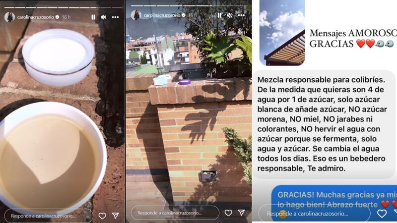 Aporte de Carolina Cruz para ayudar a los animales afectados por Incendios