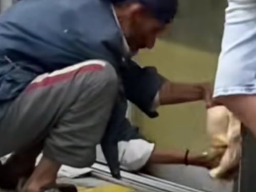 ¿'Transmiaves de la 22′? Indignación por habitante de calle que lavó pollo en estación de TransMilenio