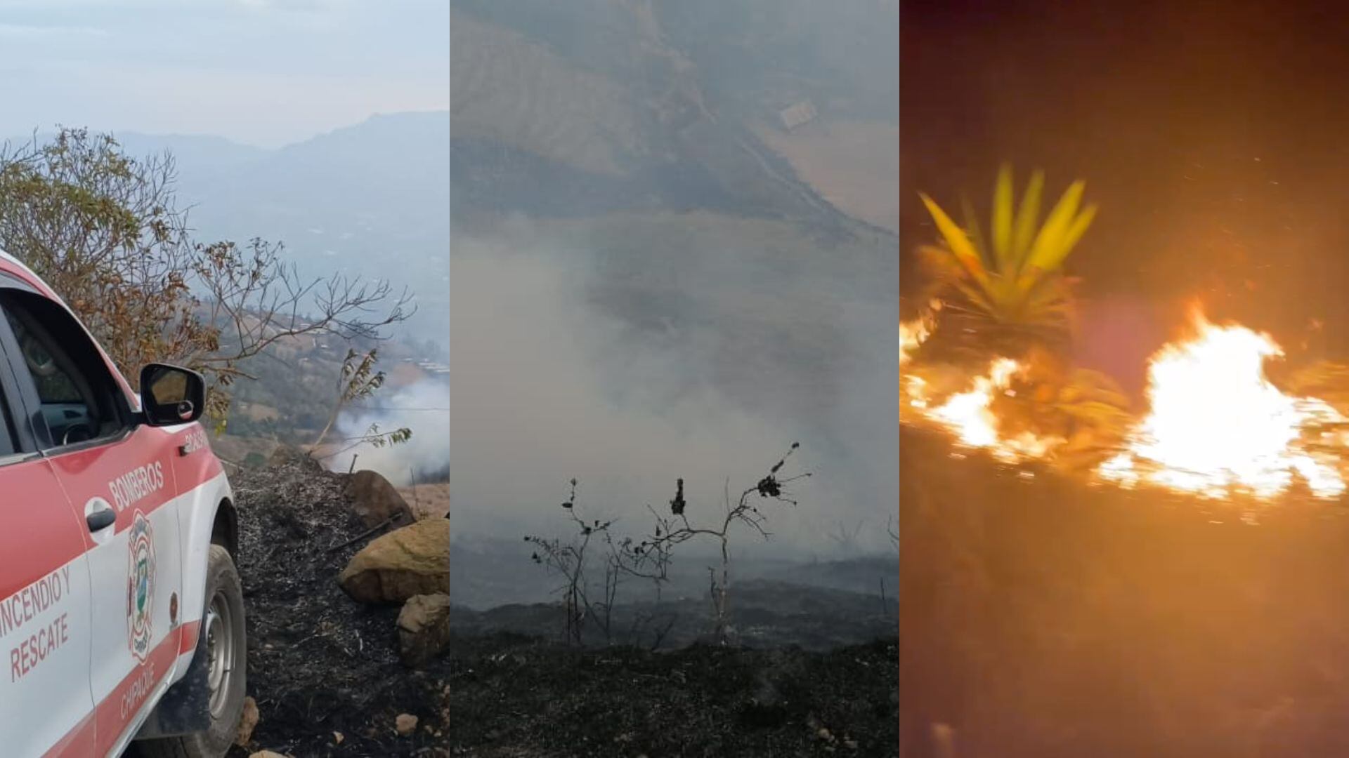 Las llamas consumieron varias hectáreas