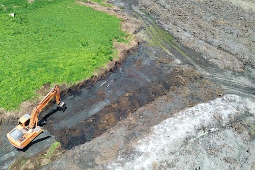 Parque Botánico Las Lagunas transformará antiguas lagunas de oxidación en área natural de Montería