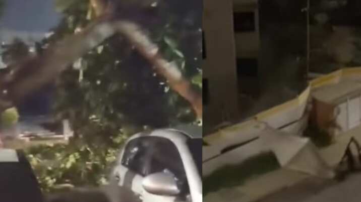 Vendaval en Barranquilla provoca emergencias: “media ciudad está sin energía en gran apagón”.