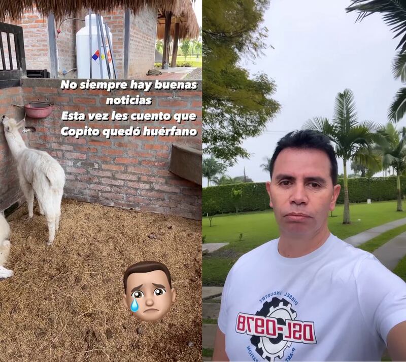 Jhonny Rivera se mostró muy emotivo al anunciar la muerte de una de sus llamas