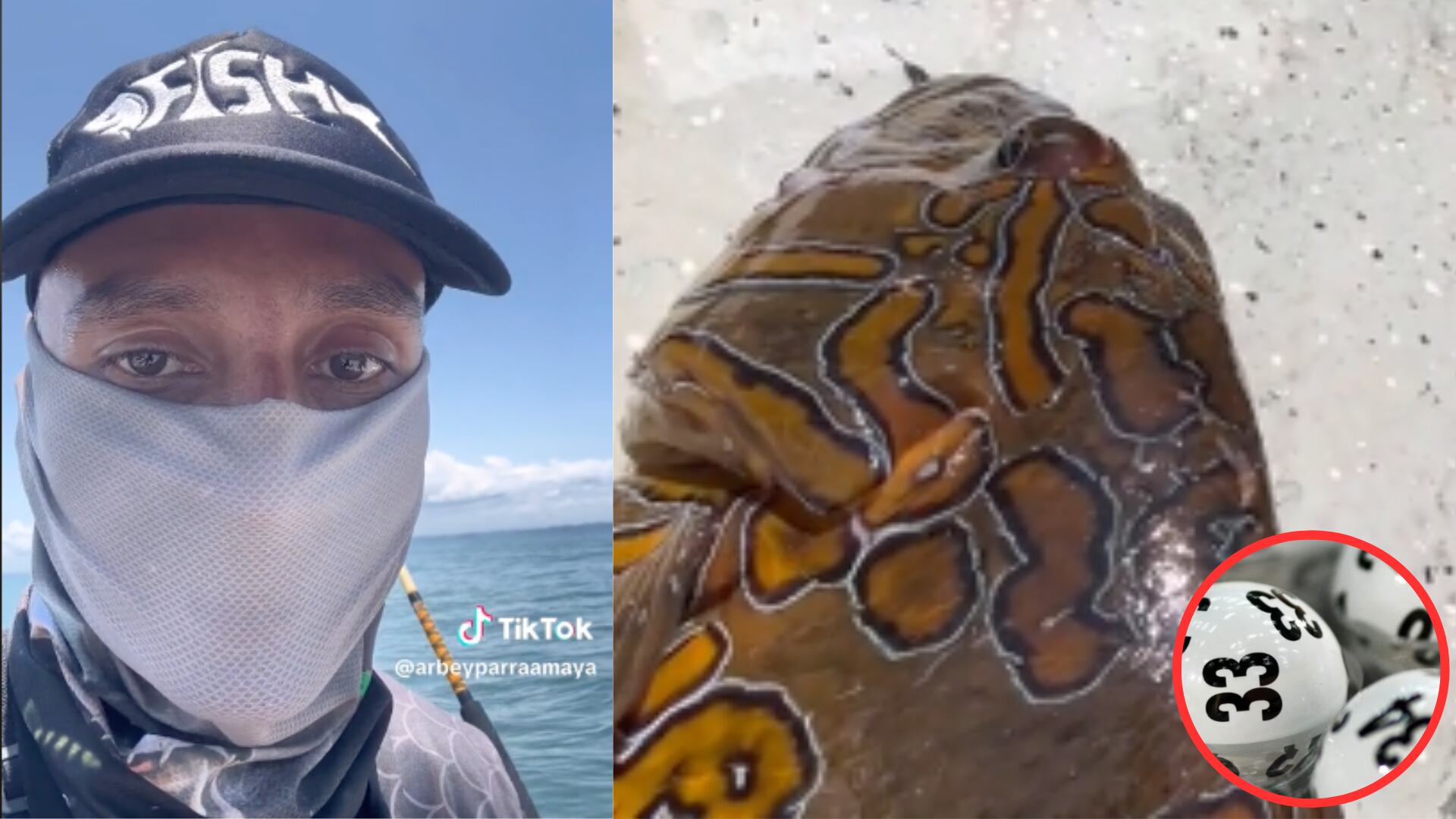 Números del chance en las escamas de un pescado