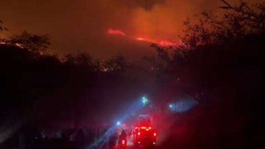 Reportan grave incendio forestal en Altos de Menga, al norte de Cali.