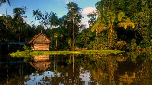 Amazonía es prioridad para el Gobierno de Petro