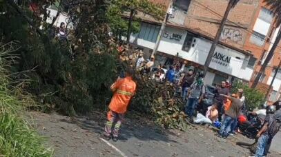 Policía muerto por desplome de árbol en Medellín