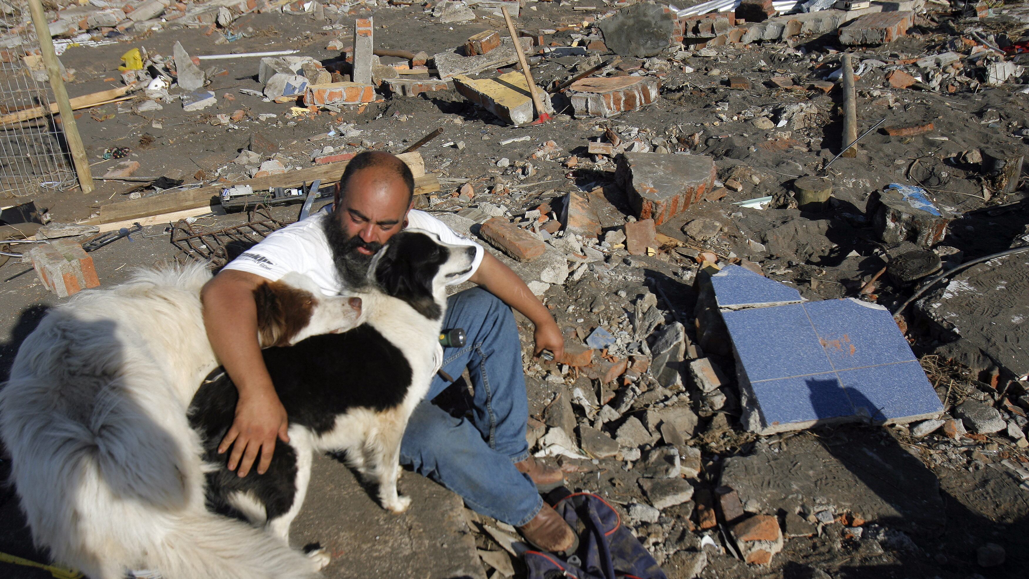 Bomberos de Bogotá pueden salvar la vida de las mascotas con un sticker en la puerta de su casa