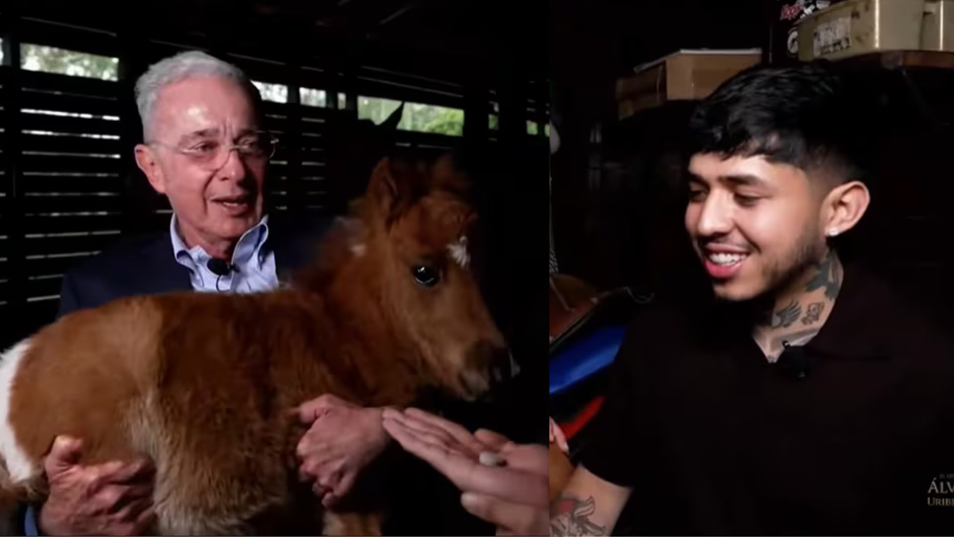 Uribe le regaló un pony a Westcol; le puso dura condición para dárselo.