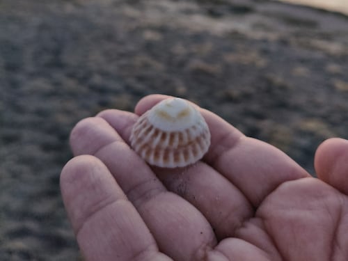 Perú: la colorida calidez de su cultura que se erige sobre su eterno océano gris