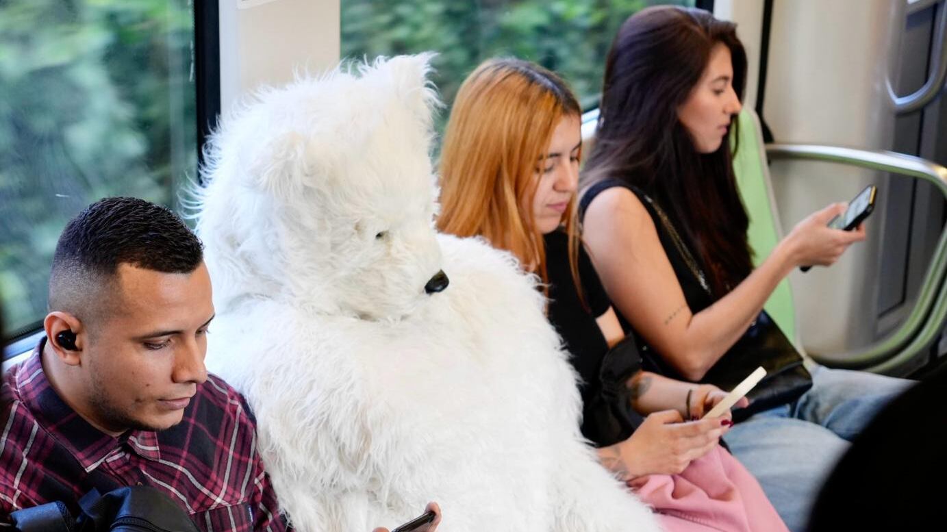 Juanes detrás del oso polar que recorrió Medellín