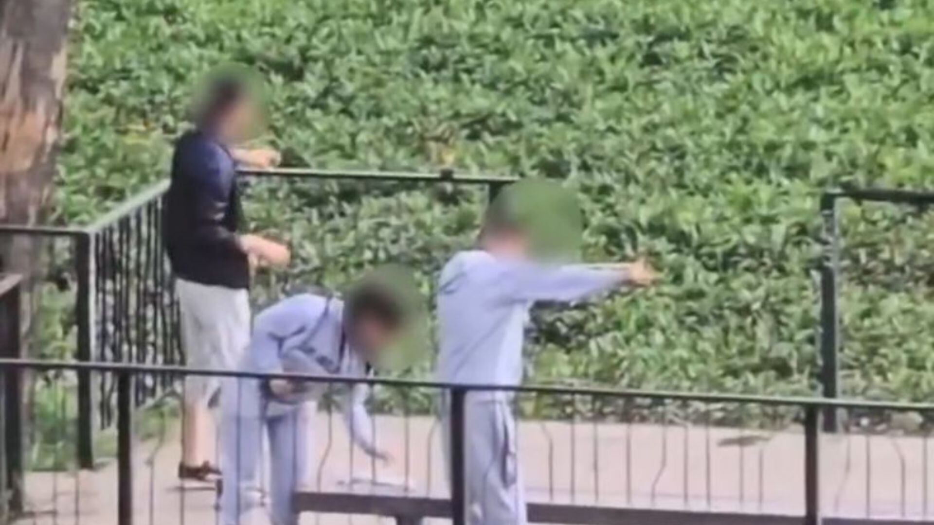 Indignación en Bogotá: jóvenes atacan fauna silvestre con caucheras en el humedal Jaboque: Crédito redes sociales Plataforma ALTO