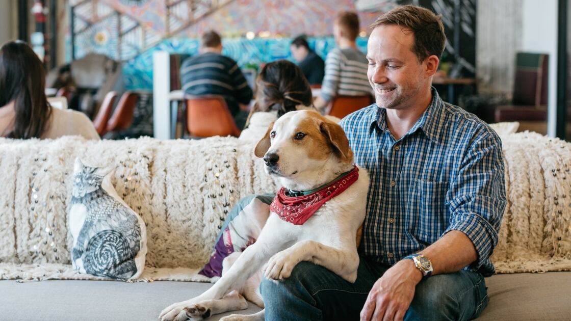 En We Work ya puede trabajar con su mascota en Bogotá