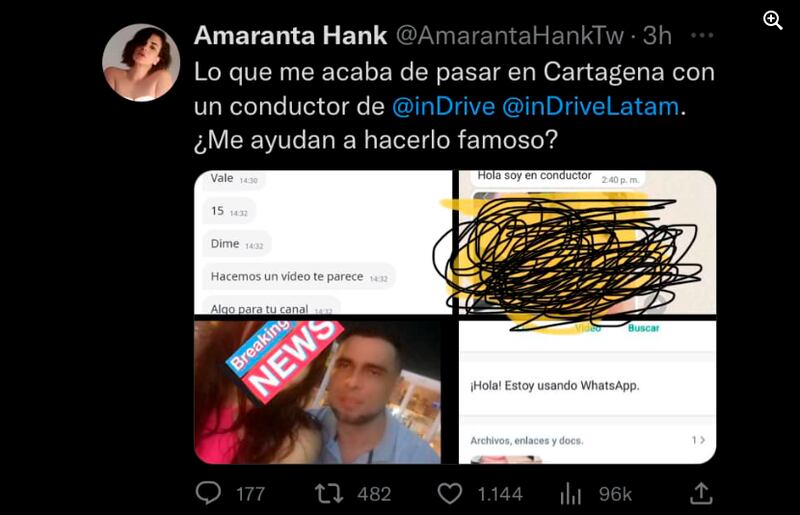 La periodista y actriz Amaranta Hank.