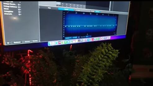 COP 16: Las plantas cantaron en un concierto demostrando su beat en la Zona Verde, en Cali.