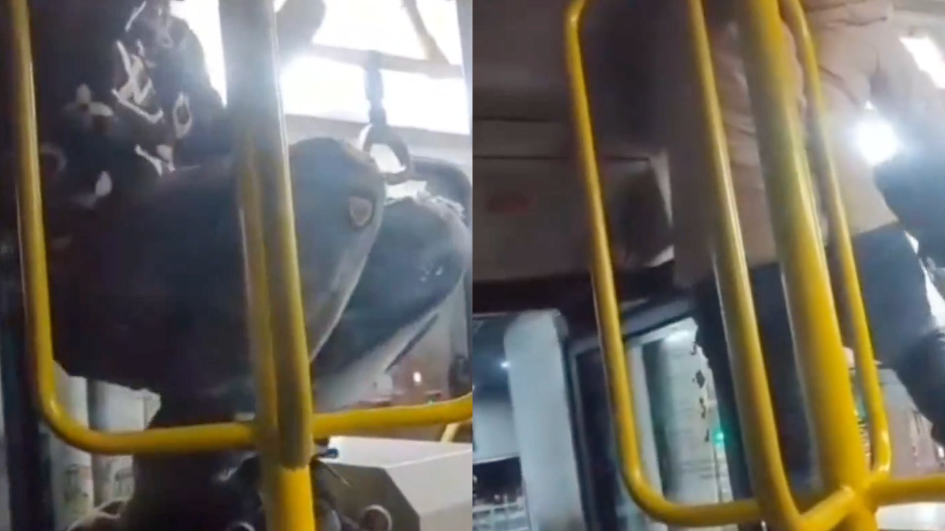 SITP Bogotá: usuarios trepan torniquetes para poder subir a buses