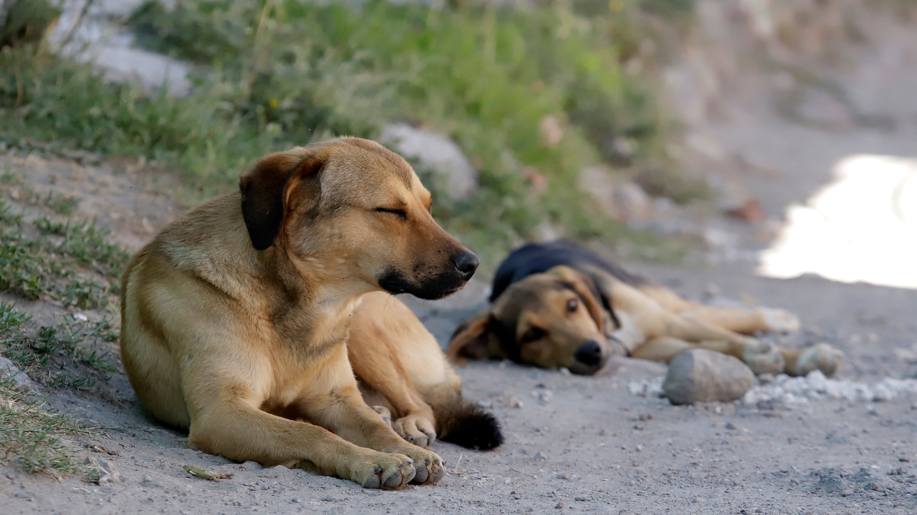 FOTO: Agencia Enfoque