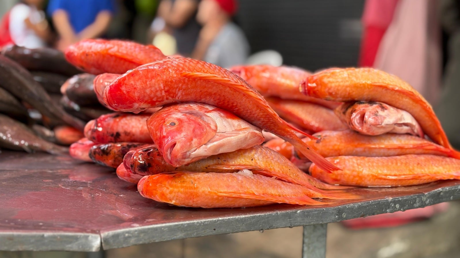 Incautación de carnes y pescados en Medellín
