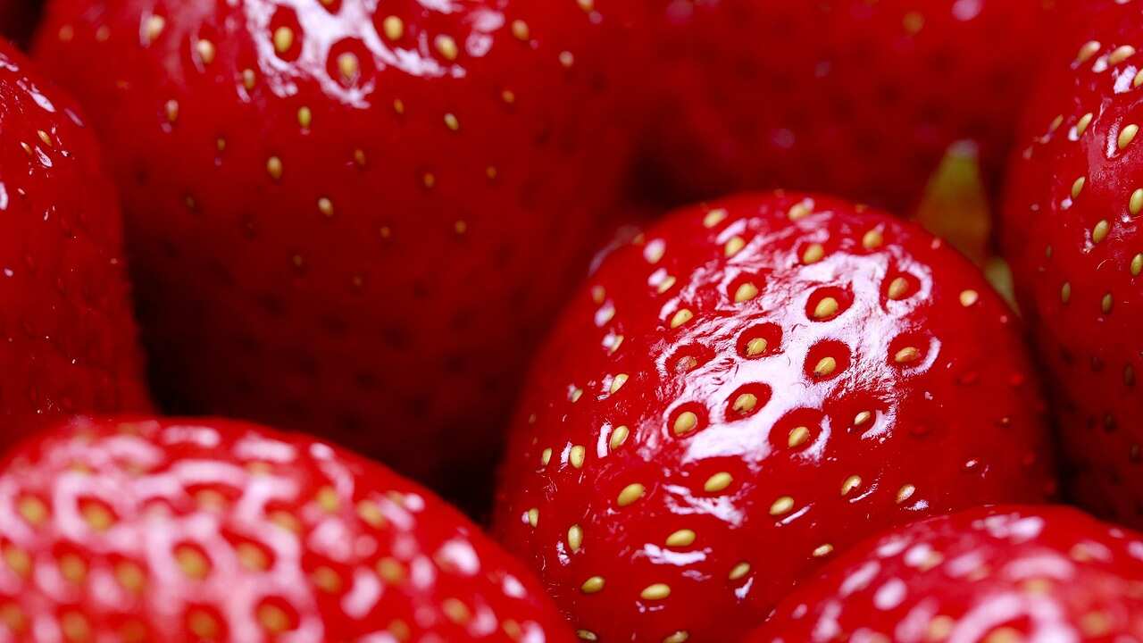 Los frutos congelados se distribuyeron en varios estados de la Unión Americana. (Pixabay)