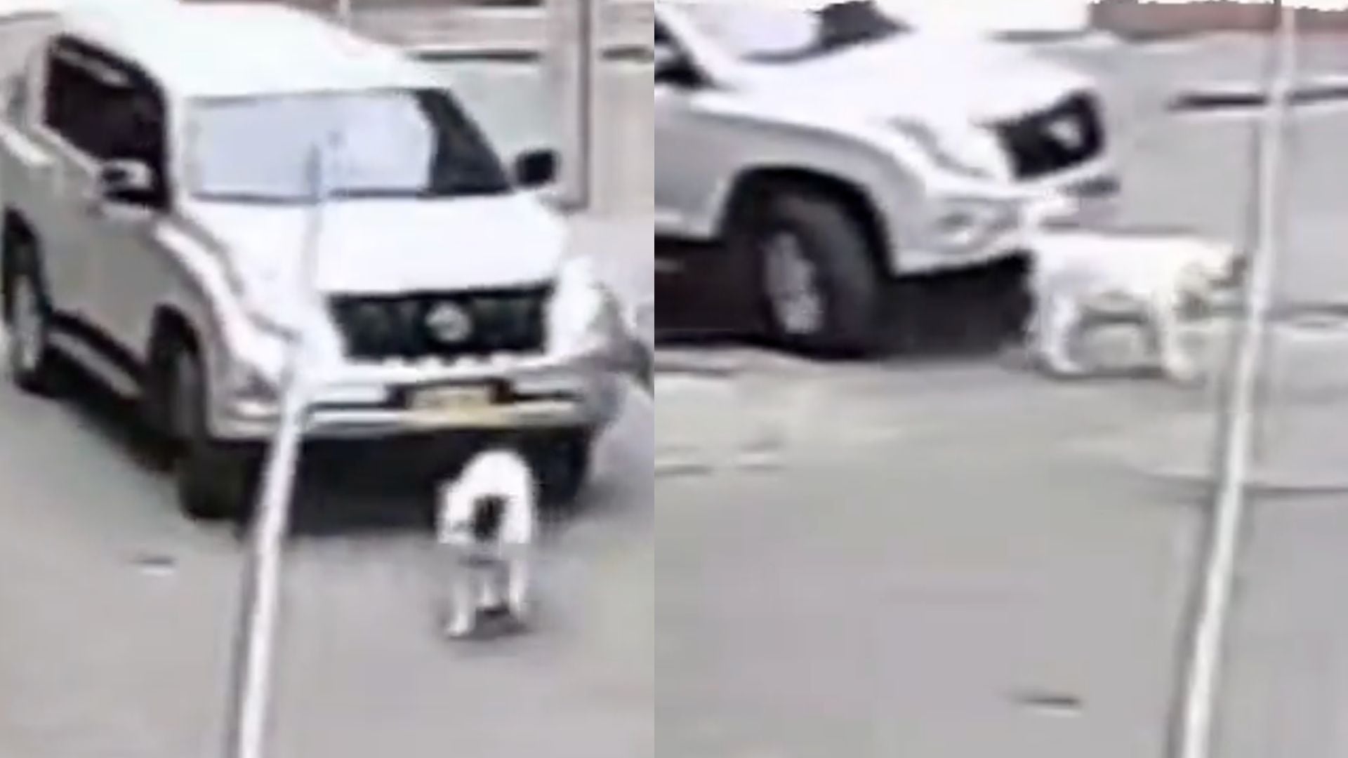 Archivo: Redes sociales