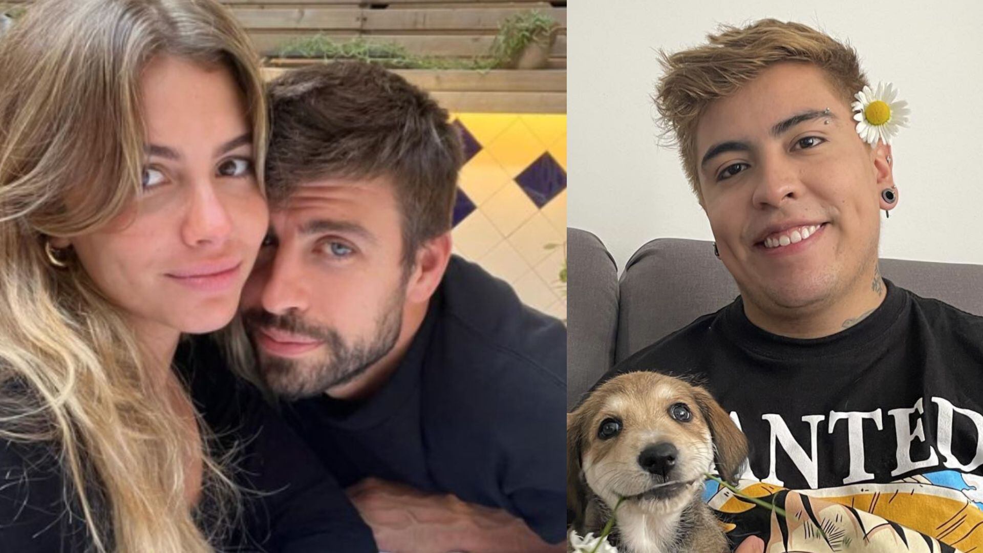 Generador de contenidos