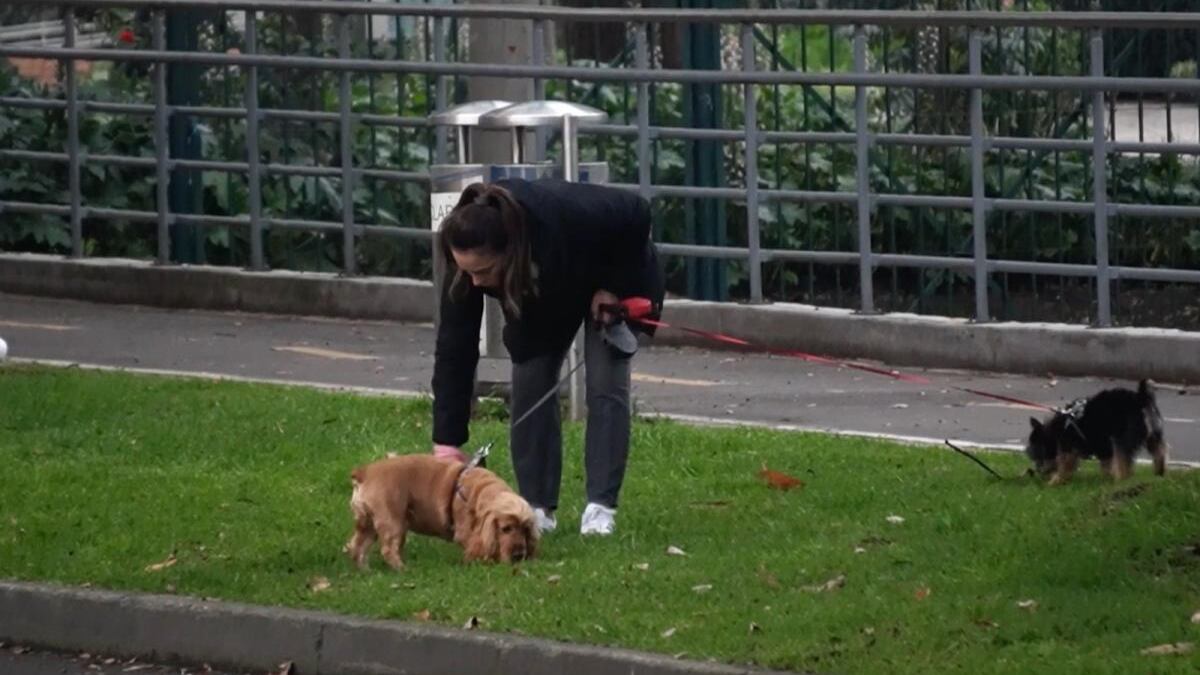 La multa económica por no recoger el excremento de las mascotas.
