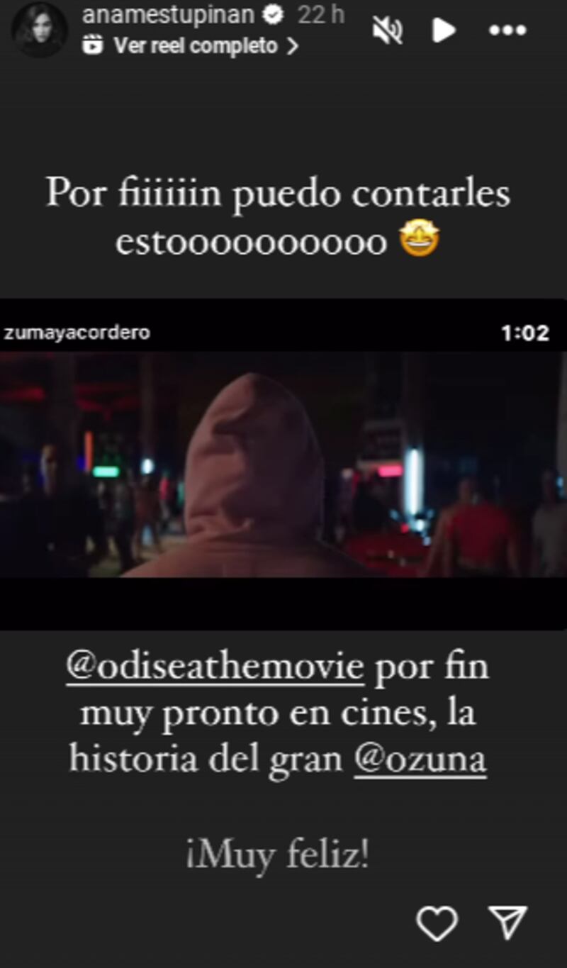 Ana María Estupiñán desde sus historias de Instagram.