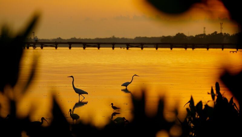Ecoparque Ciénaga de Mallorquín en Barranquilla.