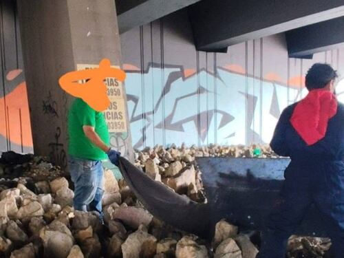 Macabro hallazgo debajo de un puente de la carrera 30 de Bogotá: encontraron decenas de cráneos de animales