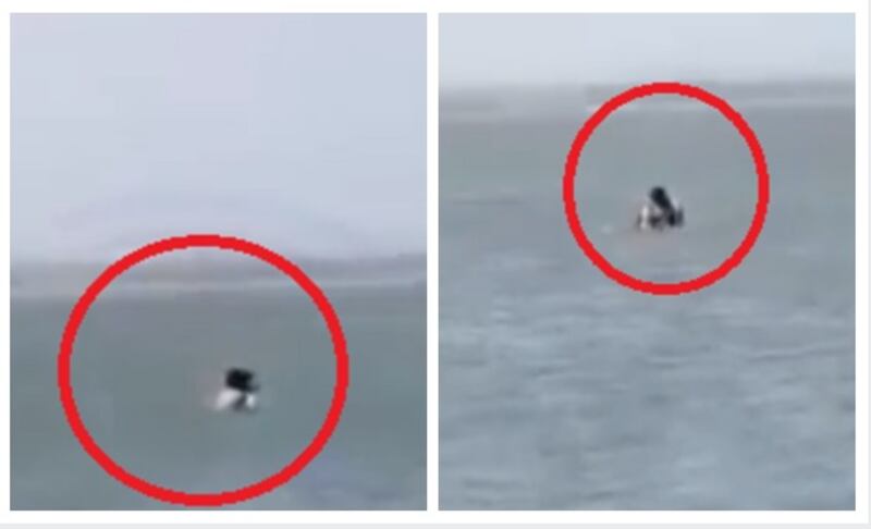 Imagen del video de pareja que tiene sexo en playas de Puerto Colombia.