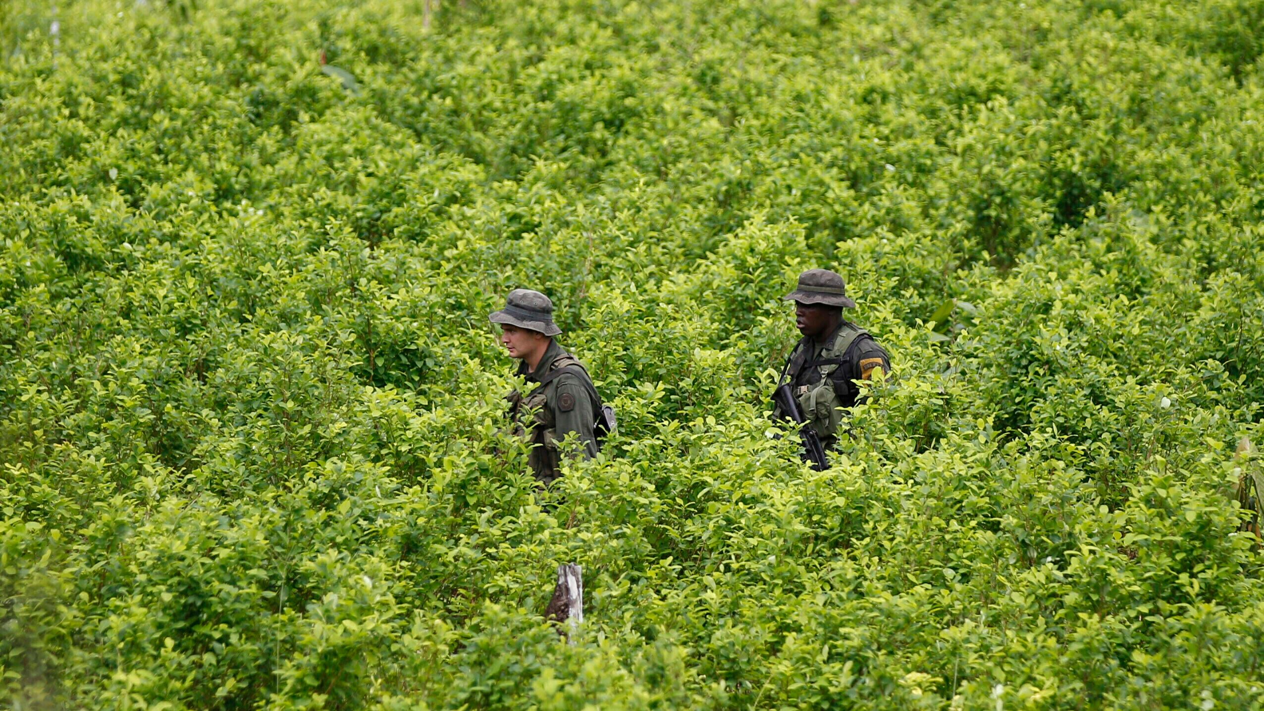 Cancillería denunció incursión de militares extranjeros a territorio colombiano