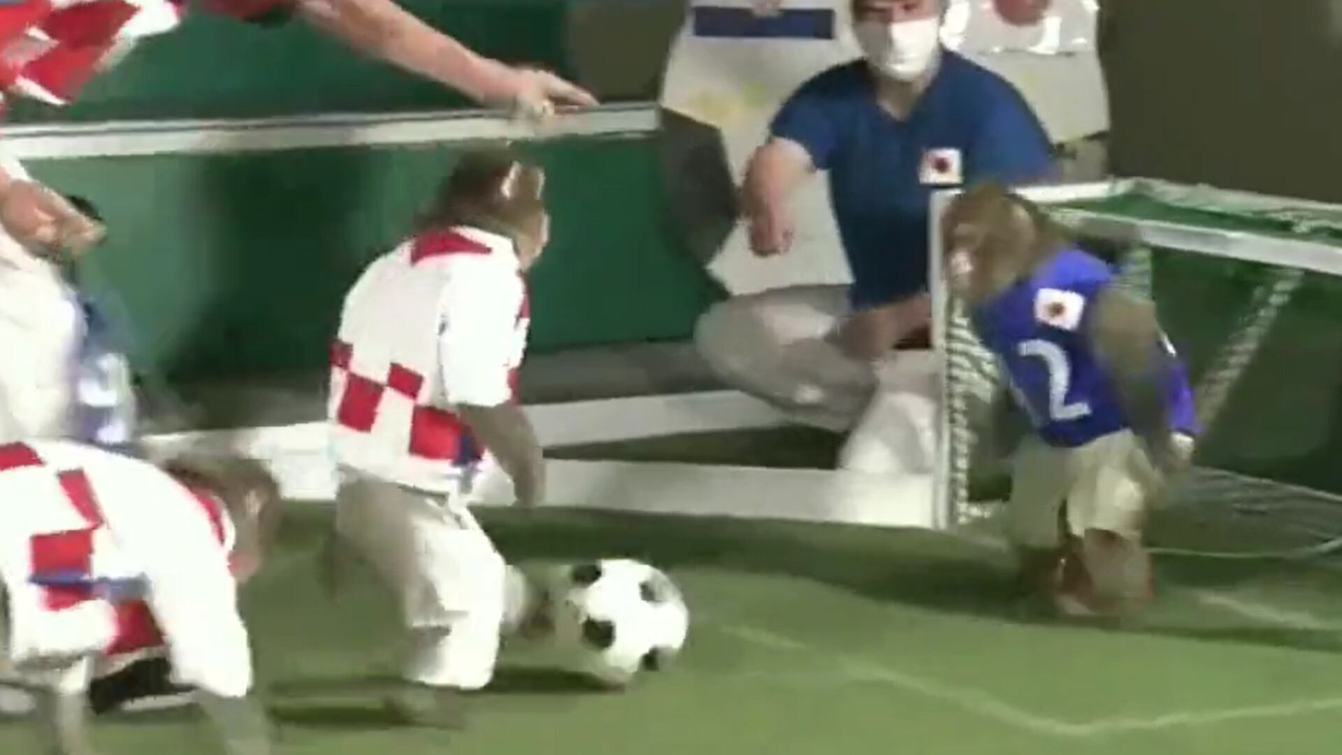 Japoneses hicieron su versión del 'pulpo Paul', pero con monos