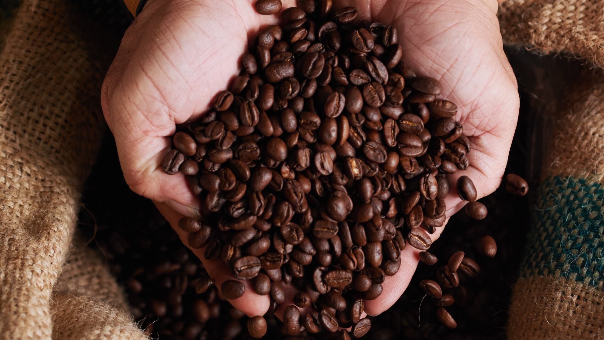 Exportación de café colombiano y cooperación internacional.