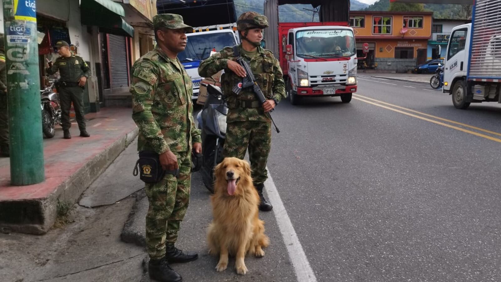 Perrito de las Fuerzas Militares es amenazado por su labor antinarcóticos, tiene guardaespaldas