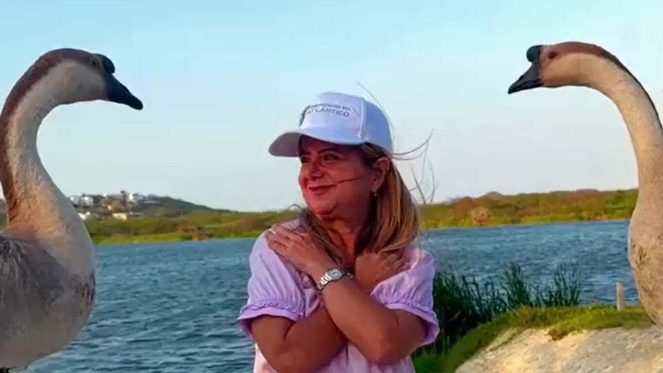 La gobernadora Elsa Noguera.