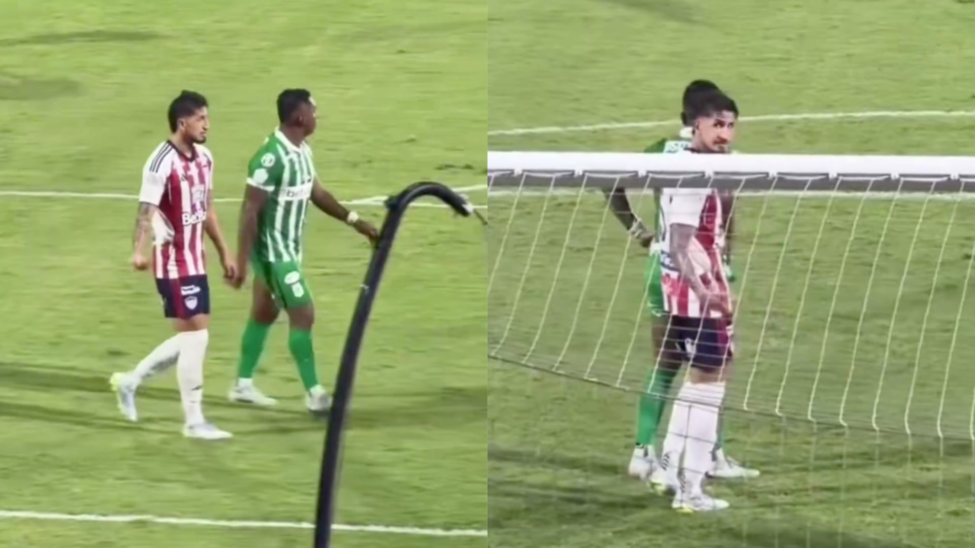 Daniel Rivera y Alfredo Morelos - Fotos: Capturas de pantalla de videos aficionados el 3 de junio del 2026