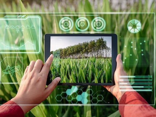 De las plantas medicinales a la inteligencia artificial. Así se están creando los fármacos del futuro en Colombia