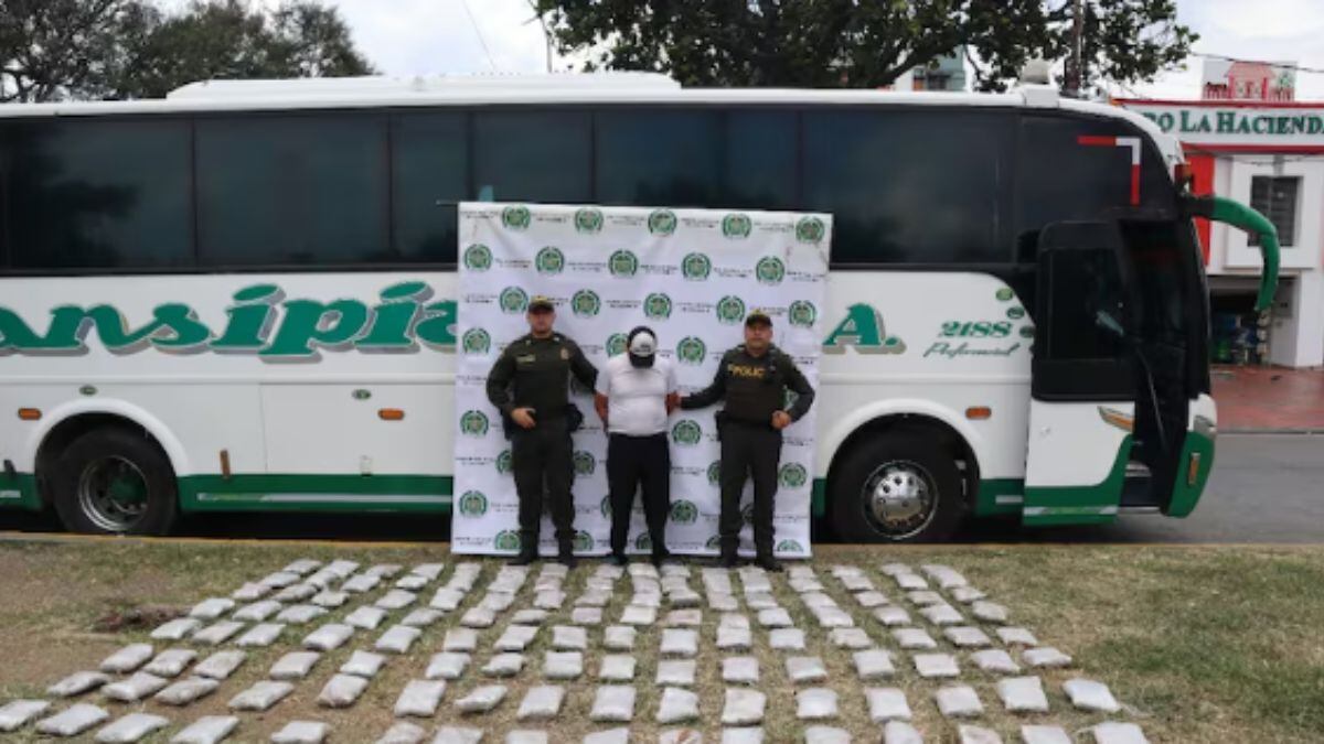 Más de 60 mil gramos de marihuana fueron incautados en Cali.